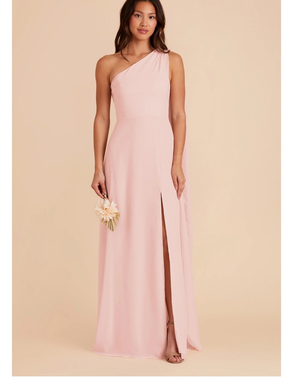 Birdy Grey Melissa Chiffon Dress in Blush Pink